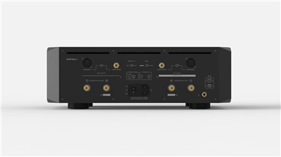 20241112141106702_eversolo_amp-f10