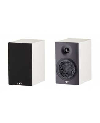 akusticheskaya-sistema-paradigm-premier-100b