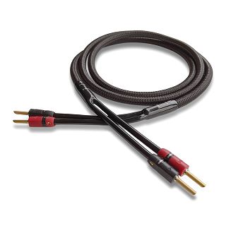 aqst-type5_l_3-medium