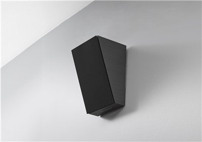 triangle-bra1_speaker