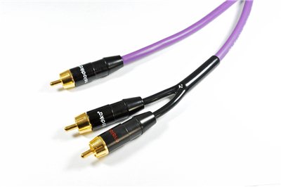 website_2